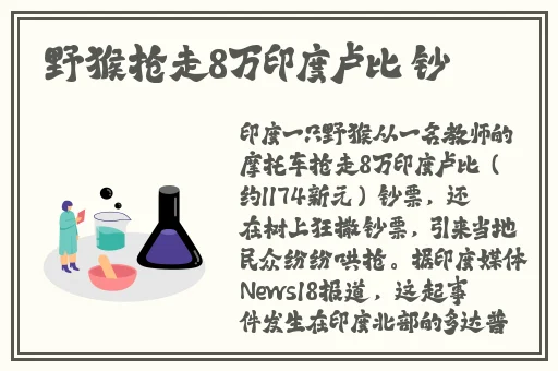 狼人德鲁伊与暗夜德鲁伊